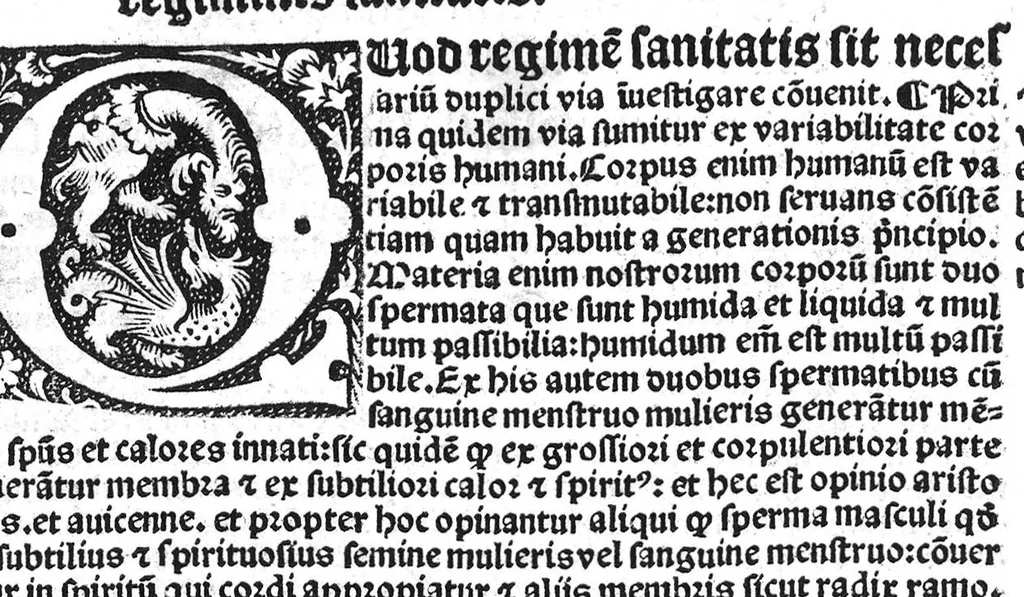 An illustration from Regimen sanitatis, 1506, leaf 4