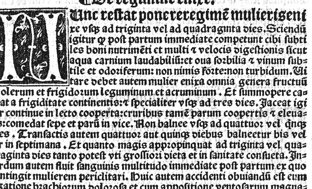 An illustration from Regimen sanitatis, 1506, leaf 46