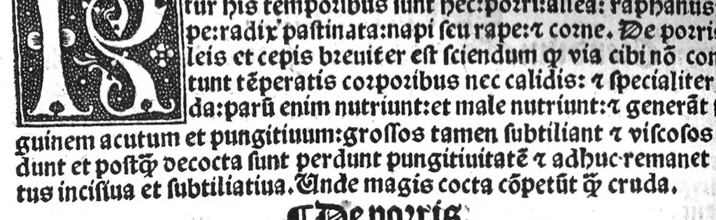 An illustration from Regimen sanitatis, 1506, leaf 95
