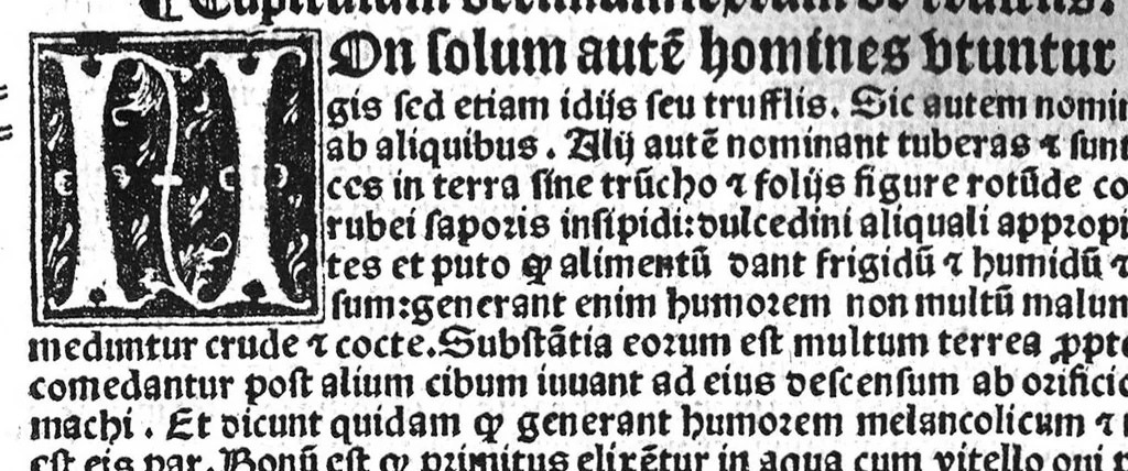 An illustration from Regimen sanitatis, 1506, leaf 97