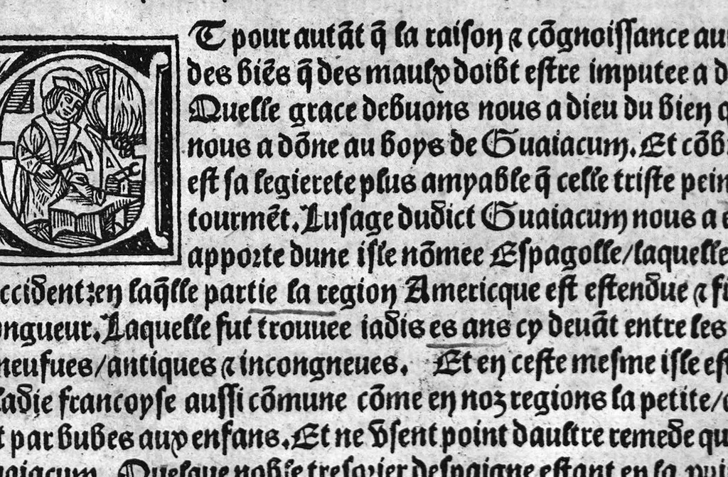 An illustration from Guaiacum. L’experience et approbation Ulrich de Huten notable chevalier. Touchant la medecine du boys dict Guaiacum. Pour circonvenir et dechasser la maladie indeuement appelle francoyse Aincois par gens de meilleur jugement est dicte et appelle la maladie de Neaples, traduicte et interpretee par maistre Jehan Cheradame, Hypocrates estudiant en la faculte et art de medecine,, 1520, leaf 12