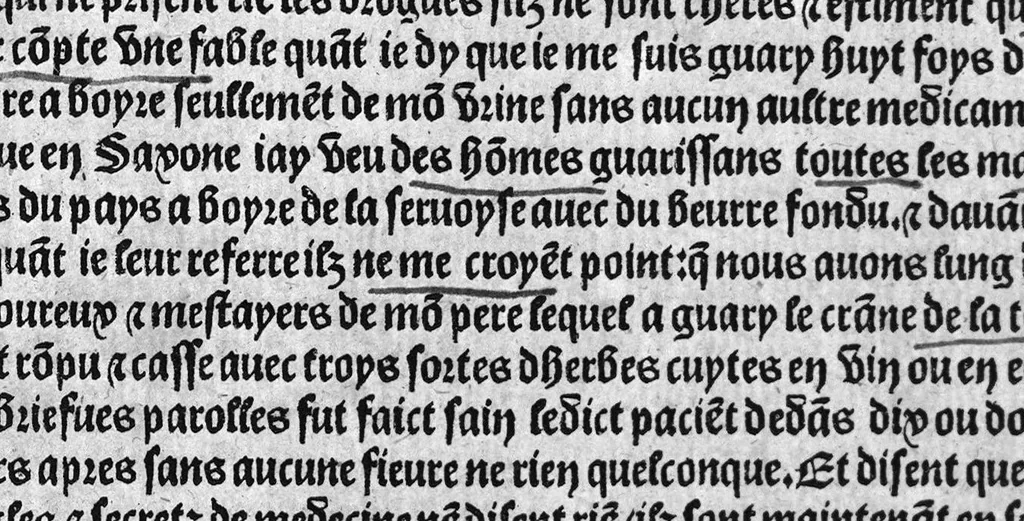 An illustration from Guaiacum. L’experience et approbation Ulrich de Huten notable chevalier. Touchant la medecine du boys dict Guaiacum. Pour circonvenir et dechasser la maladie indeuement appelle francoyse Aincois par gens de meilleur jugement est dicte et appelle la maladie de Neaples, traduicte et interpretee par maistre Jehan Cheradame, Hypocrates estudiant en la faculte et art de medecine,, 1520, leaf 28