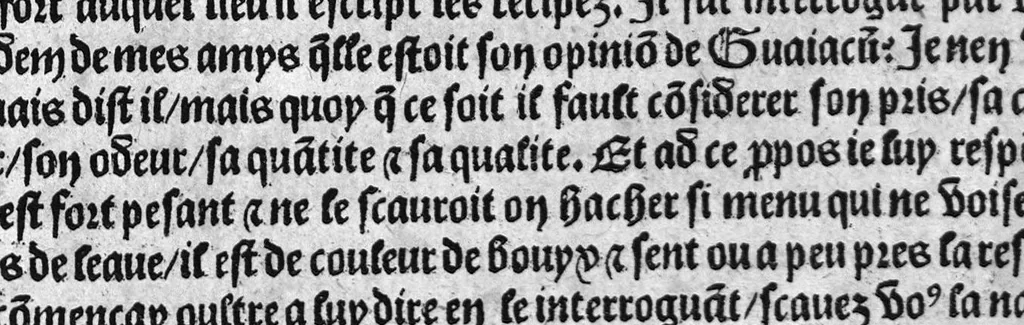 An illustration from Guaiacum. L’experience et approbation Ulrich de Huten notable chevalier. Touchant la medecine du boys dict Guaiacum. Pour circonvenir et dechasser la maladie indeuement appelle francoyse Aincois par gens de meilleur jugement est dicte et appelle la maladie de Neaples, traduicte et interpretee par maistre Jehan Cheradame, Hypocrates estudiant en la faculte et art de medecine,, 1520, leaf 28