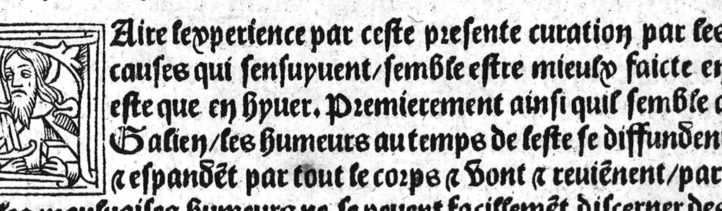 An illustration from Guaiacum. L’experience et approbation Ulrich de Huten notable chevalier. Touchant la medecine du boys dict Guaiacum. Pour circonvenir et dechasser la maladie indeuement appelle francoyse Aincois par gens de meilleur jugement est dicte et appelle la maladie de Neaples, traduicte et interpretee par maistre Jehan Cheradame, Hypocrates estudiant en la faculte et art de medecine,, 1520, leaf 34