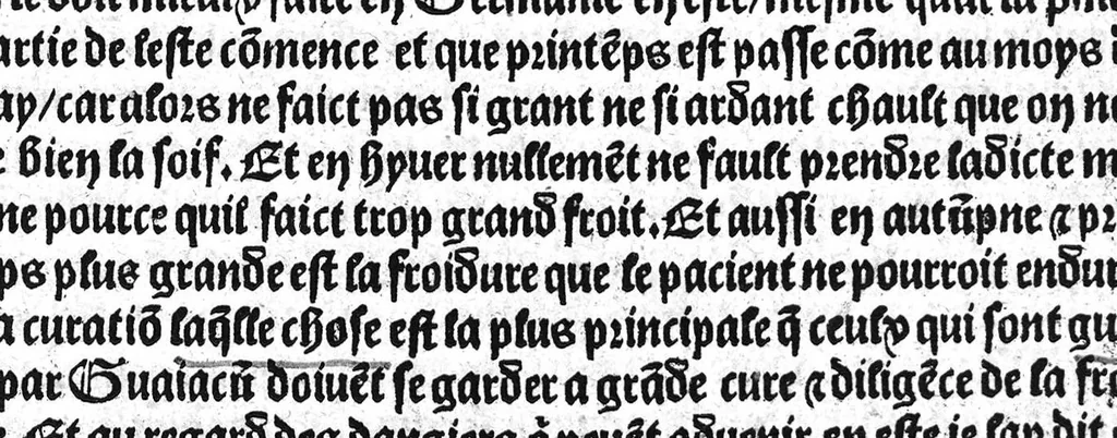 An illustration from Guaiacum. L’experience et approbation Ulrich de Huten notable chevalier. Touchant la medecine du boys dict Guaiacum. Pour circonvenir et dechasser la maladie indeuement appelle francoyse Aincois par gens de meilleur jugement est dicte et appelle la maladie de Neaples, traduicte et interpretee par maistre Jehan Cheradame, Hypocrates estudiant en la faculte et art de medecine,, 1520, leaf 36