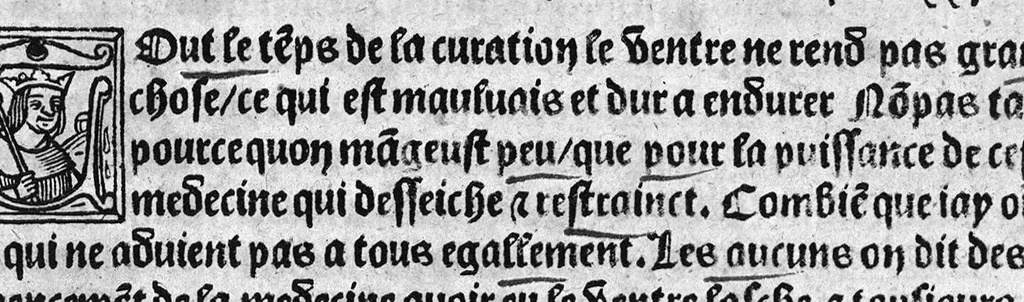 An illustration from Guaiacum. L’experience et approbation Ulrich de Huten notable chevalier. Touchant la medecine du boys dict Guaiacum. Pour circonvenir et dechasser la maladie indeuement appelle francoyse Aincois par gens de meilleur jugement est dicte et appelle la maladie de Neaples, traduicte et interpretee par maistre Jehan Cheradame, Hypocrates estudiant en la faculte et art de medecine,, 1520, leaf 58