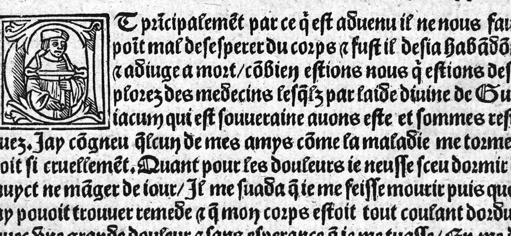 An illustration from Guaiacum. L’experience et approbation Ulrich de Huten notable chevalier. Touchant la medecine du boys dict Guaiacum. Pour circonvenir et dechasser la maladie indeuement appelle francoyse Aincois par gens de meilleur jugement est dicte et appelle la maladie de Neaples, traduicte et interpretee par maistre Jehan Cheradame, Hypocrates estudiant en la faculte et art de medecine,, 1520, leaf 65