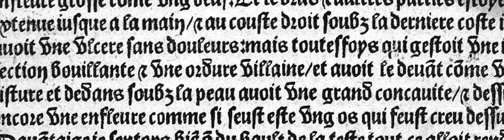 An illustration from Guaiacum. L’experience et approbation Ulrich de Huten notable chevalier. Touchant la medecine du boys dict Guaiacum. Pour circonvenir et dechasser la maladie indeuement appelle francoyse Aincois par gens de meilleur jugement est dicte et appelle la maladie de Neaples, traduicte et interpretee par maistre Jehan Cheradame, Hypocrates estudiant en la faculte et art de medecine,, 1520, leaf 67