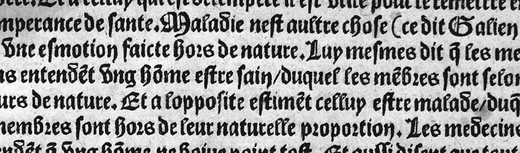 An illustration from Guaiacum. L’experience et approbation Ulrich de Huten notable chevalier. Touchant la medecine du boys dict Guaiacum. Pour circonvenir et dechasser la maladie indeuement appelle francoyse Aincois par gens de meilleur jugement est dicte et appelle la maladie de Neaples, traduicte et interpretee par maistre Jehan Cheradame, Hypocrates estudiant en la faculte et art de medecine,, 1520, leaf 76