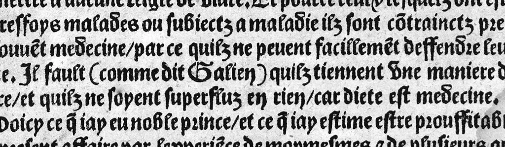 An illustration from Guaiacum. L’experience et approbation Ulrich de Huten notable chevalier. Touchant la medecine du boys dict Guaiacum. Pour circonvenir et dechasser la maladie indeuement appelle francoyse Aincois par gens de meilleur jugement est dicte et appelle la maladie de Neaples, traduicte et interpretee par maistre Jehan Cheradame, Hypocrates estudiant en la faculte et art de medecine,, 1520, leaf 76