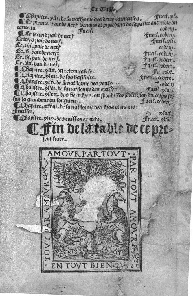 An illustration from Cy est Lanathomie de maistre Mundin boullonnoys, naguere traduicte de langue latine en vulgaire ou francoyse. Ou sont plusieurs figures et apostilles : moult requise et necessaire pour la congnoissance et notice dicelle/ Reveue et recongneue en plusieurs lieus par ledit translateur. Nouvellement imprimée, 1532, leaf 110