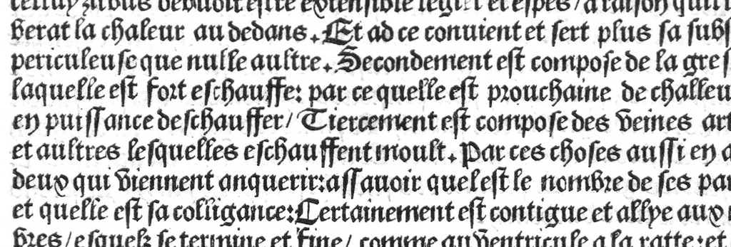An illustration from Cy est Lanathomie de maistre Mundin boullonnoys, naguere traduicte de langue latine en vulgaire ou francoyse. Ou sont plusieurs figures et apostilles : moult requise et necessaire pour la congnoissance et notice dicelle/ Reveue et recongneue en plusieurs lieus par ledit translateur. Nouvellement imprimée, 1532, leaf 26