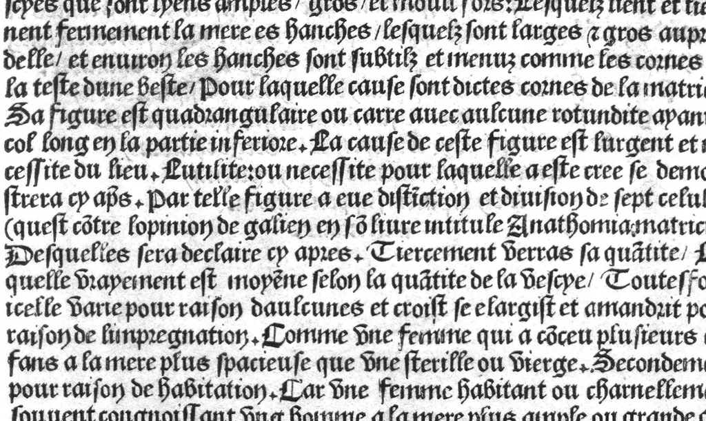 An illustration from Cy est Lanathomie de maistre Mundin boullonnoys, naguere traduicte de langue latine en vulgaire ou francoyse. Ou sont plusieurs figures et apostilles : moult requise et necessaire pour la congnoissance et notice dicelle/ Reveue et recongneue en plusieurs lieus par ledit translateur. Nouvellement imprimée, 1532, leaf 50
