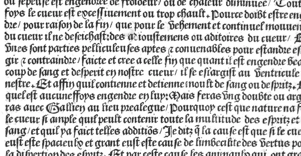 An illustration from Cy est Lanathomie de maistre Mundin boullonnoys, naguere traduicte de langue latine en vulgaire ou francoyse. Ou sont plusieurs figures et apostilles : moult requise et necessaire pour la congnoissance et notice dicelle/ Reveue et recongneue en plusieurs lieus par ledit translateur. Nouvellement imprimée, 1532, leaf 66