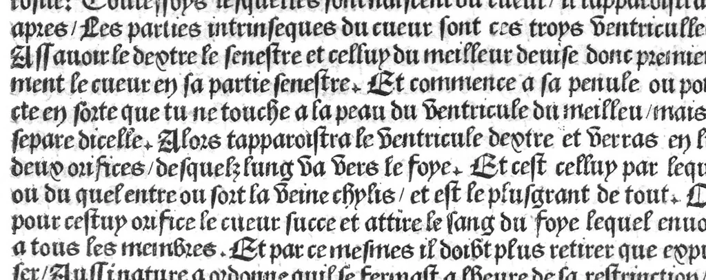 An illustration from Cy est Lanathomie de maistre Mundin boullonnoys, naguere traduicte de langue latine en vulgaire ou francoyse. Ou sont plusieurs figures et apostilles : moult requise et necessaire pour la congnoissance et notice dicelle/ Reveue et recongneue en plusieurs lieus par ledit translateur. Nouvellement imprimée, 1532, leaf 66
