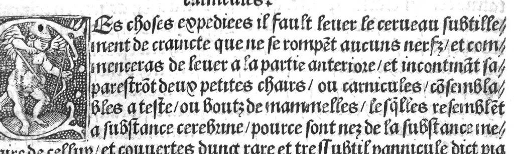 An illustration from Cy est Lanathomie de maistre Mundin boullonnoys, naguere traduicte de langue latine en vulgaire ou francoyse. Ou sont plusieurs figures et apostilles : moult requise et necessaire pour la congnoissance et notice dicelle/ Reveue et recongneue en plusieurs lieus par ledit translateur. Nouvellement imprimée, 1532, leaf 85