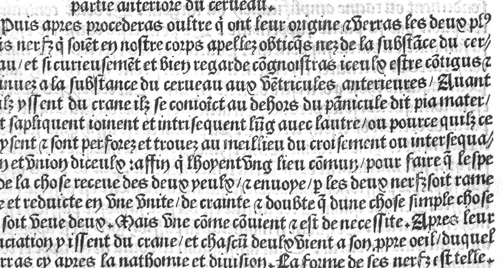 An illustration from Cy est Lanathomie de maistre Mundin boullonnoys, naguere traduicte de langue latine en vulgaire ou francoyse. Ou sont plusieurs figures et apostilles : moult requise et necessaire pour la congnoissance et notice dicelle/ Reveue et recongneue en plusieurs lieus par ledit translateur. Nouvellement imprimée, 1532, leaf 85