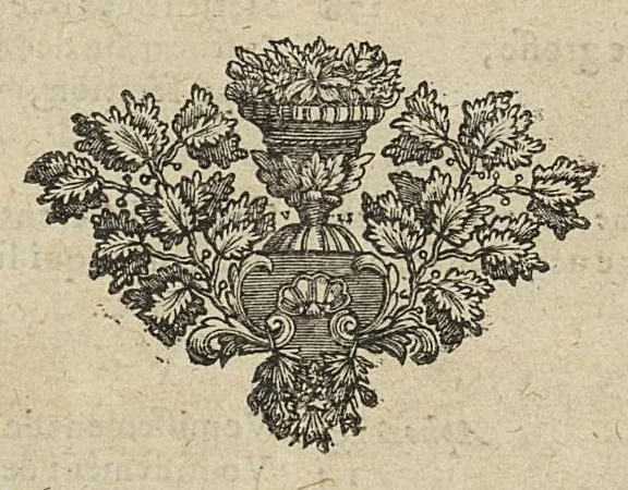 An illustration from Traité des maladies des femmes grosses, et de celles qui sont accouchées...4è édition..., 1694, leaf 566