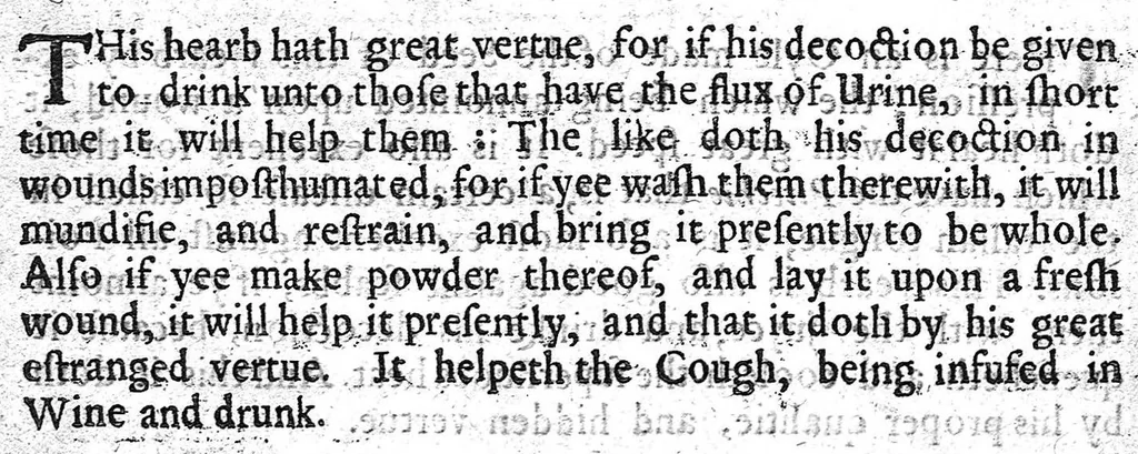 An illustration from A treatise of chirurgery, 1652, leaf 172