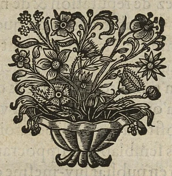 An illustration from Orthodoxe ou de l'Abus de l'Antimoine, dialogue tres necessaire pour detromper ceux qui donnent ou prennent le Vin & Pouldre Emetique..., 1652, leaf 35