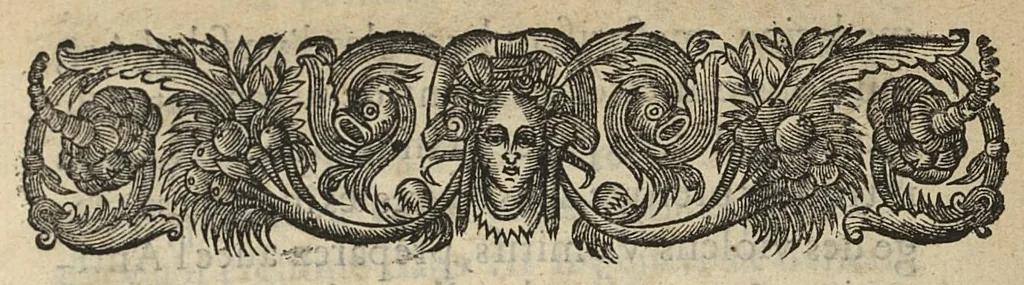 An illustration from Orthodoxe ou de l'Abus de l'Antimoine, dialogue tres necessaire pour detromper ceux qui donnent ou prennent le Vin & Pouldre Emetique..., 1652, leaf 48