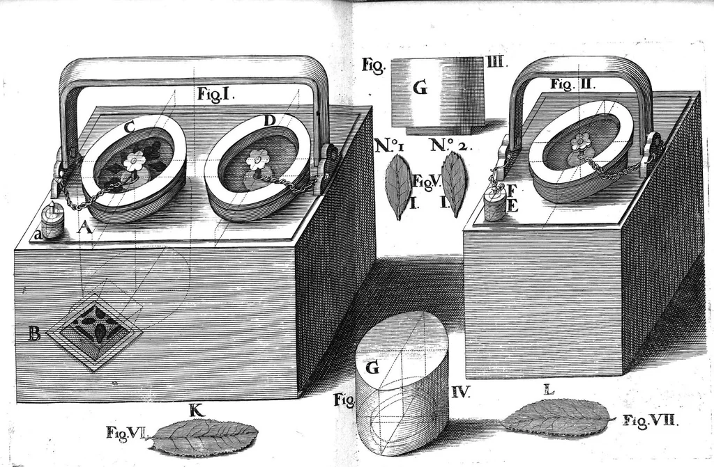 An illustration from Commentarius de abusu tabaci americanorum veteri, et herbae thee asiaticorum in Europa novo, 1665, leaf 124