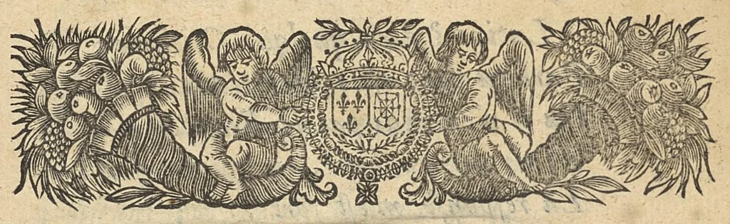 An illustration from L'Eschole de Salerne en vers burlesques, 1650, leaf 20