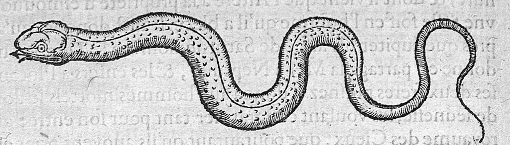 An illustration from Deux livres des venins, ausquels il est amplement discouru des bestes venimeuses, theriaques, poisons et contrepoisons, par Jaques Grevin de Clermont en Beauvaisis, Medecin à Paris. Ensemble, les œuvres de Nicandre, Medecin et Poëte Grec, traduictes en vers François, 1568, leaf 105