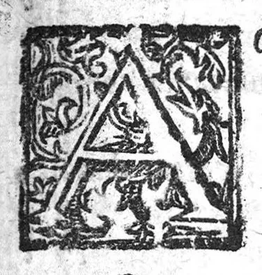 An illustration from De humanarum propensionum ex temperamento praenotionibus, De naturalibus ex unguium inspectione praesagiis et De ratione cognoscendi mores, et qualitates scribentis ex ipsius epistola missiva... tractatus tres, 1664, leaf 122