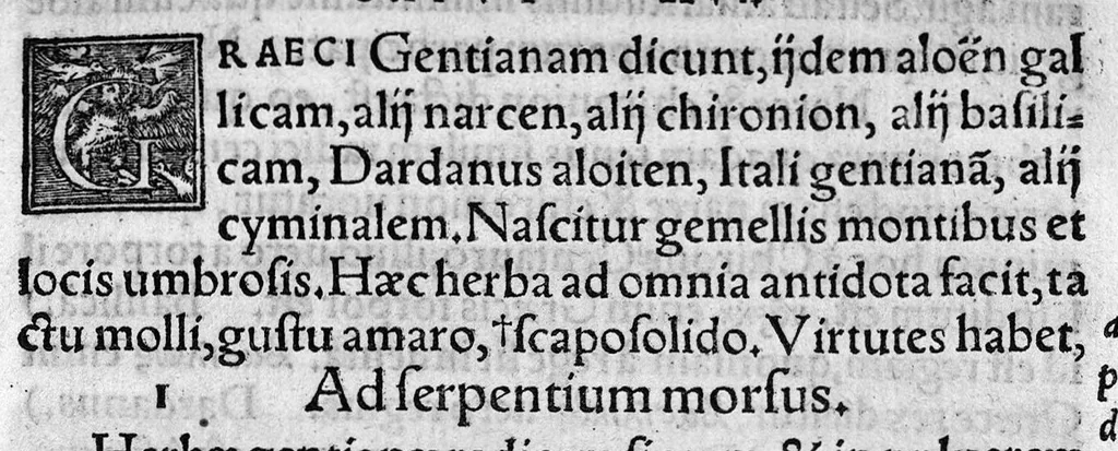 An illustration from In hoc opere contenta : Ant. Musae de Herba vetonica liber I, L. Apulei de Medicaminibus herbarum liber I, per Gabrielem Humelbergium,... recogniti et emendati... adjuncto commentariolo ejusdem, 1537, leaf 100