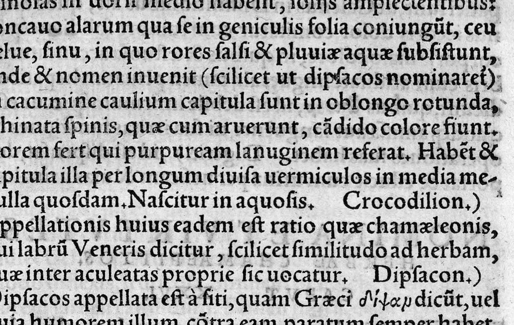 An illustration from In hoc opere contenta : Ant. Musae de Herba vetonica liber I, L. Apulei de Medicaminibus herbarum liber I, per Gabrielem Humelbergium,... recogniti et emendati... adjuncto commentariolo ejusdem, 1537, leaf 124