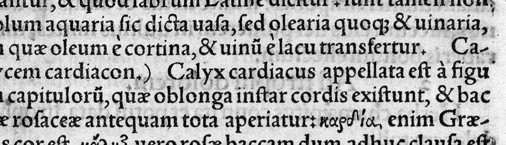 An illustration from In hoc opere contenta : Ant. Musae de Herba vetonica liber I, L. Apulei de Medicaminibus herbarum liber I, per Gabrielem Humelbergium,... recogniti et emendati... adjuncto commentariolo ejusdem, 1537, leaf 124
