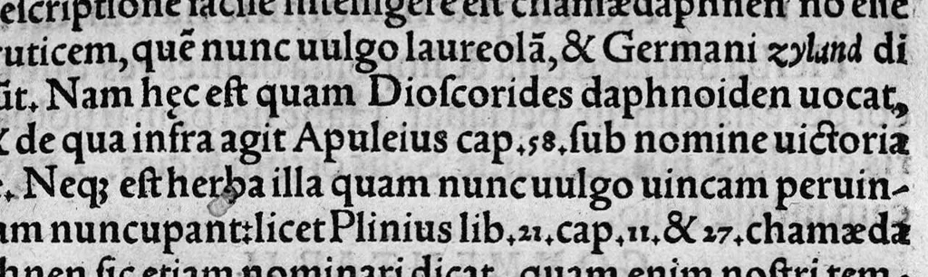 An illustration from In hoc opere contenta : Ant. Musae de Herba vetonica liber I, L. Apulei de Medicaminibus herbarum liber I, per Gabrielem Humelbergium,... recogniti et emendati... adjuncto commentariolo ejusdem, 1537, leaf 128