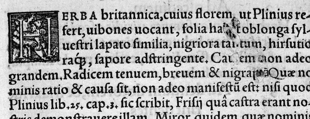 An illustration from In hoc opere contenta : Ant. Musae de Herba vetonica liber I, L. Apulei de Medicaminibus herbarum liber I, per Gabrielem Humelbergium,... recogniti et emendati... adjuncto commentariolo ejusdem, 1537, leaf 131