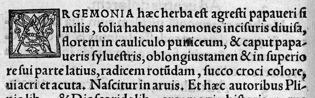 An illustration from In hoc opere contenta : Ant. Musae de Herba vetonica liber I, L. Apulei de Medicaminibus herbarum liber I, per Gabrielem Humelbergium,... recogniti et emendati... adjuncto commentariolo ejusdem, 1537, leaf 135