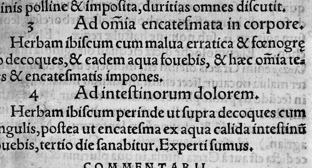 An illustration from In hoc opere contenta : Ant. Musae de Herba vetonica liber I, L. Apulei de Medicaminibus herbarum liber I, per Gabrielem Humelbergium,... recogniti et emendati... adjuncto commentariolo ejusdem, 1537, leaf 148