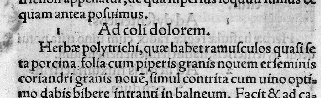 An illustration from In hoc opere contenta : Ant. Musae de Herba vetonica liber I, L. Apulei de Medicaminibus herbarum liber I, per Gabrielem Humelbergium,... recogniti et emendati... adjuncto commentariolo ejusdem, 1537, leaf 178