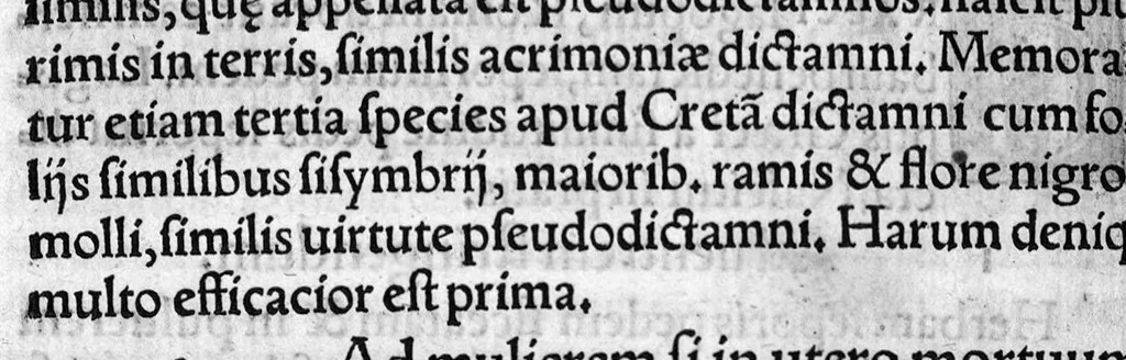 An illustration from In hoc opere contenta : Ant. Musae de Herba vetonica liber I, L. Apulei de Medicaminibus herbarum liber I, per Gabrielem Humelbergium,... recogniti et emendati... adjuncto commentariolo ejusdem, 1537, leaf 199