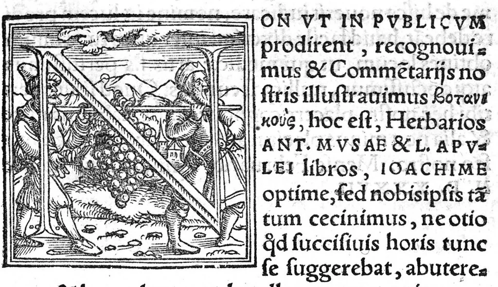 An illustration from In hoc opere contenta : Ant. Musae de Herba vetonica liber I, L. Apulei de Medicaminibus herbarum liber I, per Gabrielem Humelbergium,... recogniti et emendati... adjuncto commentariolo ejusdem, 1537, leaf 2
