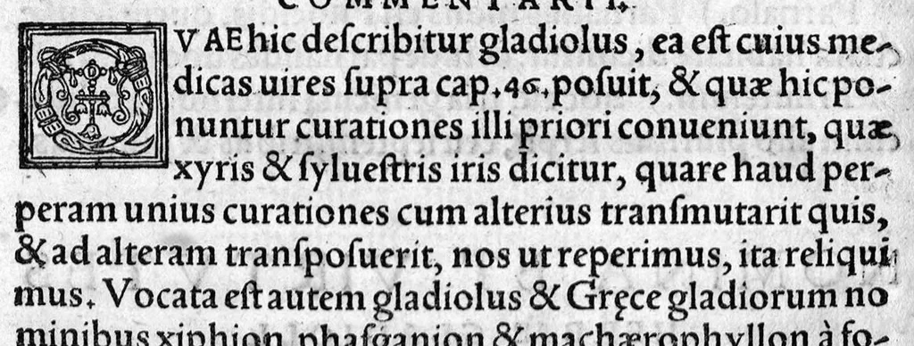 An illustration from In hoc opere contenta : Ant. Musae de Herba vetonica liber I, L. Apulei de Medicaminibus herbarum liber I, per Gabrielem Humelbergium,... recogniti et emendati... adjuncto commentariolo ejusdem, 1537, leaf 233