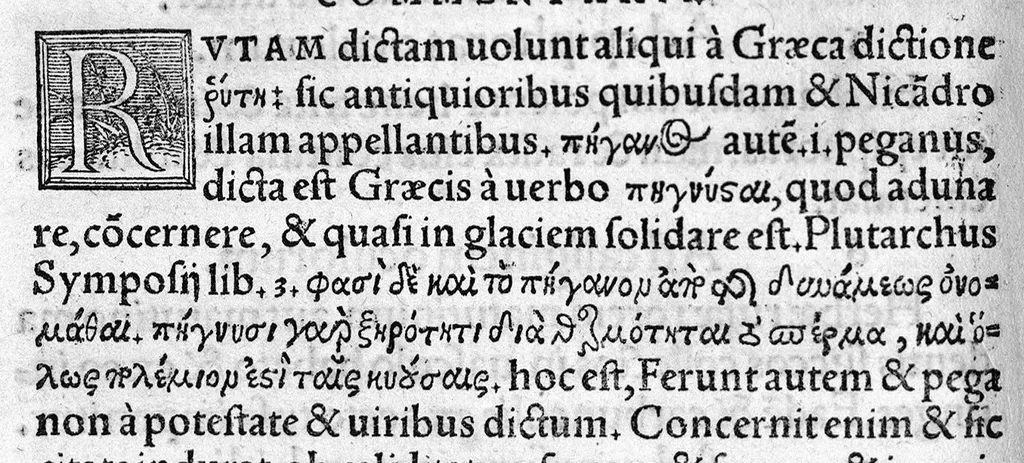An illustration from In hoc opere contenta : Ant. Musae de Herba vetonica liber I, L. Apulei de Medicaminibus herbarum liber I, per Gabrielem Humelbergium,... recogniti et emendati... adjuncto commentariolo ejusdem, 1537, leaf 257