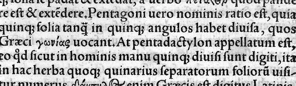 An illustration from In hoc opere contenta : Ant. Musae de Herba vetonica liber I, L. Apulei de Medicaminibus herbarum liber I, per Gabrielem Humelbergium,... recogniti et emendati... adjuncto commentariolo ejusdem, 1537, leaf 42