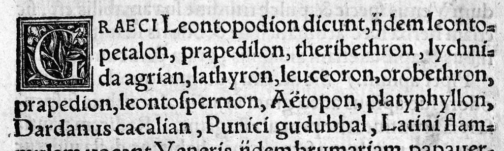 An illustration from In hoc opere contenta : Ant. Musae de Herba vetonica liber I, L. Apulei de Medicaminibus herbarum liber I, per Gabrielem Humelbergium,... recogniti et emendati... adjuncto commentariolo ejusdem, 1537, leaf 69