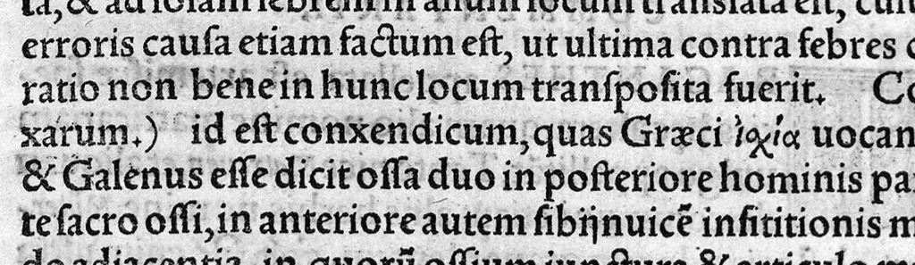 An illustration from In hoc opere contenta : Ant. Musae de Herba vetonica liber I, L. Apulei de Medicaminibus herbarum liber I, per Gabrielem Humelbergium,... recogniti et emendati... adjuncto commentariolo ejusdem, 1537, leaf 87