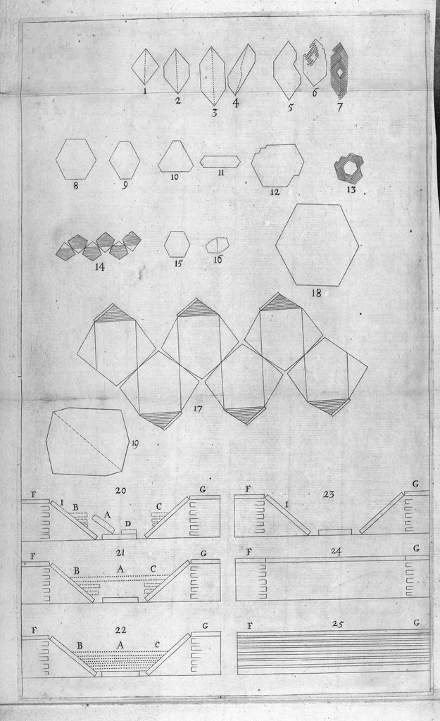 An illustration from Nicolai Stenonis de Solido intra solidum naturaliter contento dissertationis prodromus..., 1669, leaf 82
