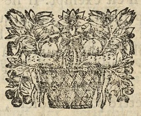 An illustration from Methode d'élever les enfans selon les regles de la medecine. Regime de vivre des vieillards et un traitte de la goutte, 1675, leaf 171