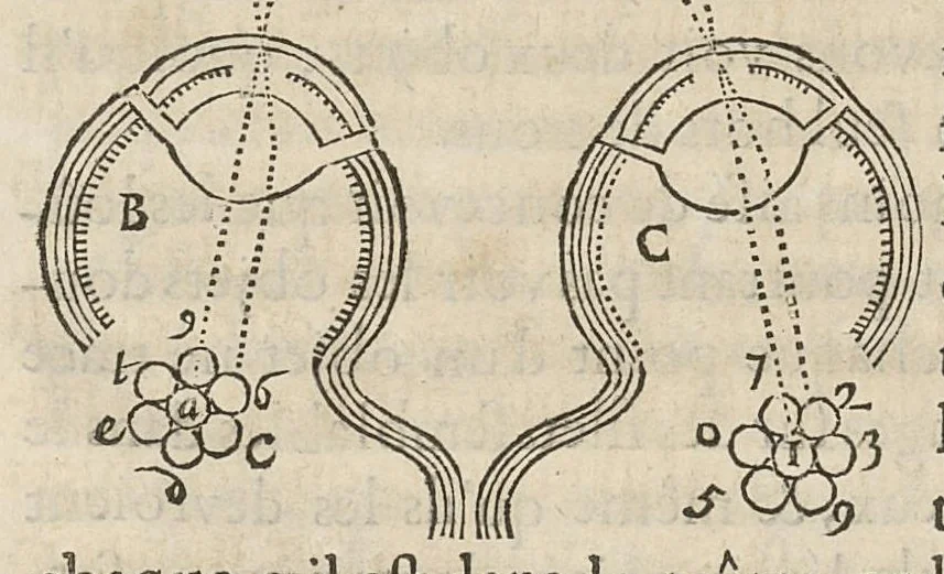 An illustration from Essay de dioptrique, 1694, leaf 110