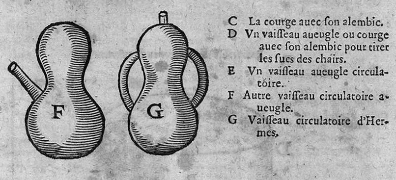 An illustration from Le grand thresor, ou dispensaire et antidotaire tant general que special ou particulier des remedes servans à la santé du corps humain : dressé en latin..., 1616, leaf 122
