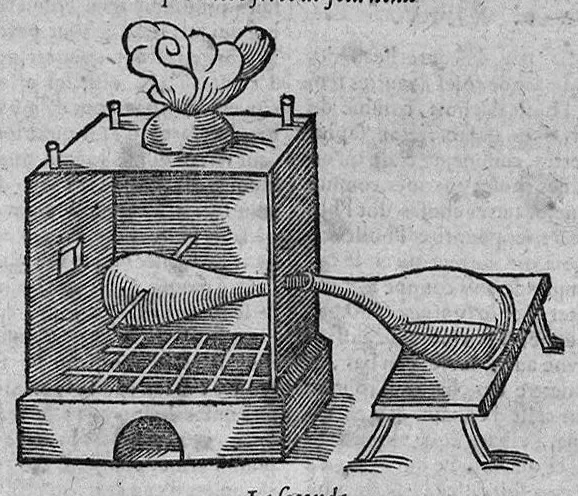 An illustration from Le grand thresor, ou dispensaire et antidotaire tant general que special ou particulier des remedes servans à la santé du corps humain : dressé en latin..., 1616, leaf 132