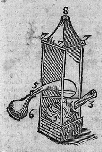 An illustration from Le grand thresor, ou dispensaire et antidotaire tant general que special ou particulier des remedes servans à la santé du corps humain : dressé en latin..., 1616, leaf 132
